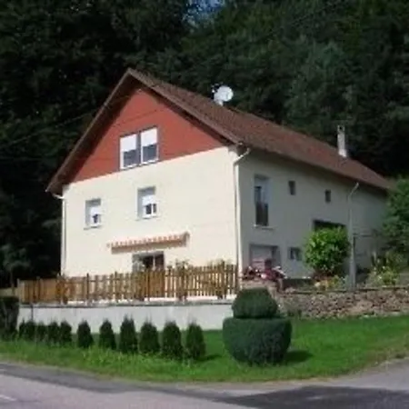 Nyaraló Alsace Proche Forets, Randonnee, Stations De Ski, 2 Salons, Terrasse Sud, Cheminee, Animaux Acceptes - Fr-1-589-200 *