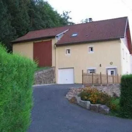 Landhuis Alsace Proche Forets, Randonnee, Stations De Ski, 2 Salons, Terrasse Sud, Cheminee, Animaux Acceptes Saulcy-sur-Meurthe