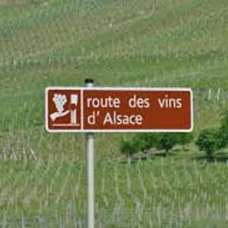 בית נופש Alsace Proche Forets, Randonnee, Stations De Ski, 2 Salons, Terrasse Sud, Cheminee, Animaux Acceptes - Fr-1-589-200