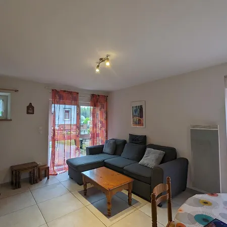 Alsace Proche Forets, Randonnee, Stations De Ski, 2 Salons, Terrasse Sud, Cheminee, Animaux Acceptes - Fr-1-589-200 Nyaraló *