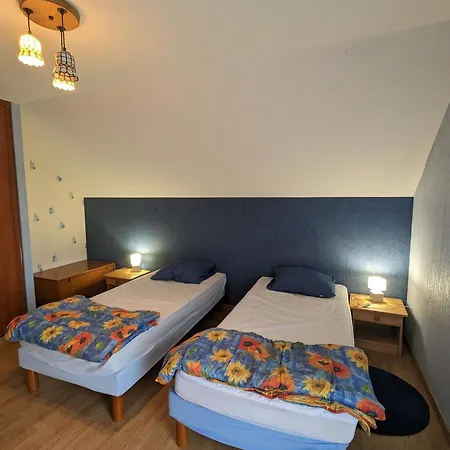 Alsace Proche Forets, Randonnee, Stations De Ski, 2 Salons, Terrasse Sud, Cheminee, Animaux Acceptes