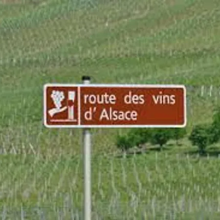 Alsace Proche Forets, Randonnee, Stations De Ski, 2 Salons, Terrasse Sud, Cheminee, Animaux Acceptes Landhuis