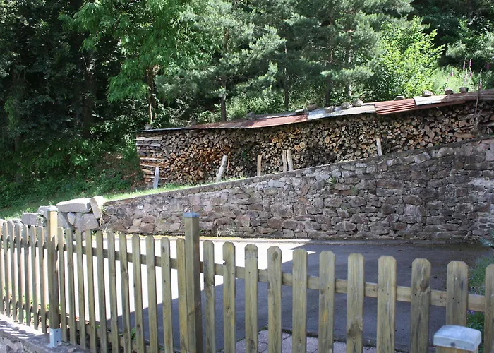 Alsace Proche Forets, Randonnee, Stations De Ski, 2 Salons, Terrasse Sud, Cheminee, Animaux Acceptes - Fr-1-589-200 * Saulcy-sur-Meurthe