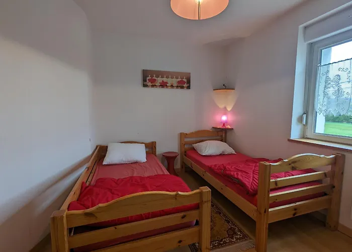 Alsace Proche Forets, Randonnee, Stations De Ski, 2 Salons, Terrasse Sud, Cheminee, Animaux Acceptes - Fr-1-589-200