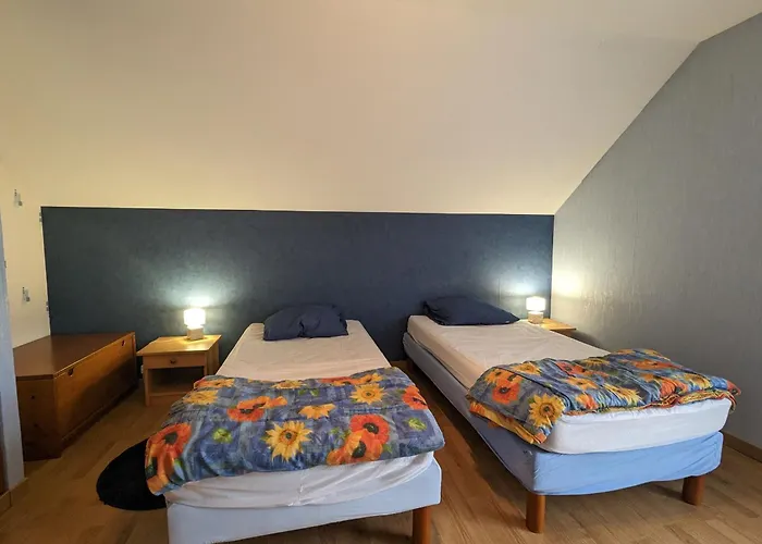 Alsace Proche Forets, Randonnee, Stations De Ski, 2 Salons, Terrasse Sud, Cheminee, Animaux Acceptes - Fr-1-589-200 *