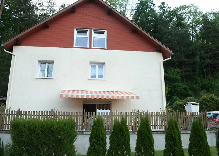 Alsace Proche Forets, Randonnee, Stations De Ski, 2 Salons, Terrasse Sud, Cheminee, Animaux Acceptes - Fr-1-589-200