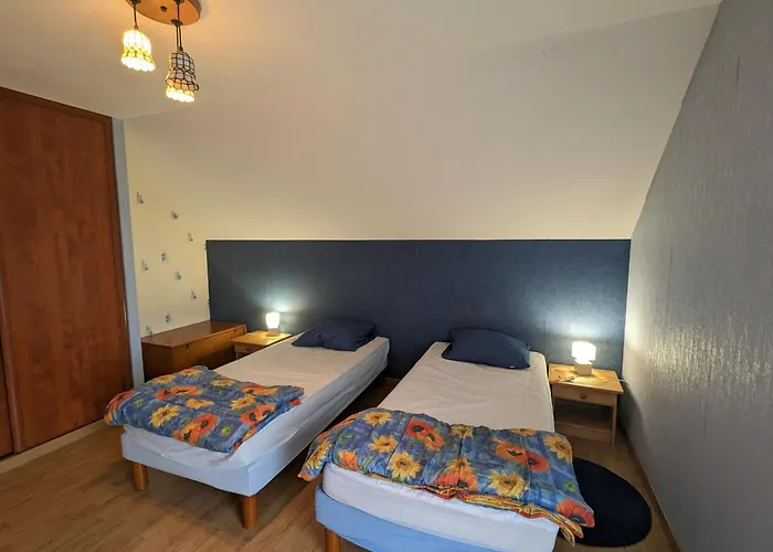 Alsace Proche Forets, Randonnee, Stations De Ski, 2 Salons, Terrasse Sud, Cheminee, Animaux Acceptes - Fr-1-589-200