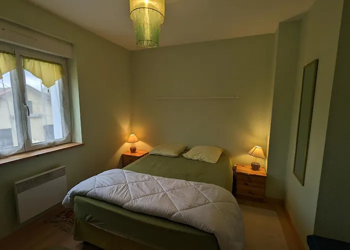 Alsace Proche Forets, Randonnee, Stations De Ski, 2 Salons, Terrasse Sud, Cheminee, Animaux Acceptes - Fr-1-589-200 度假居