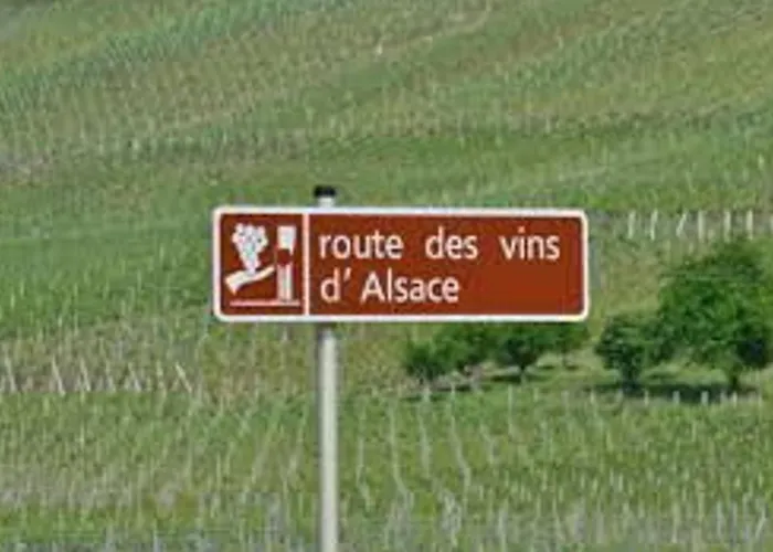 Alsace Proche Forets, Randonnee, Stations De Ski, 2 Salons, Terrasse Sud, Cheminee, Animaux Acceptes - Fr-1-589-200 度假居